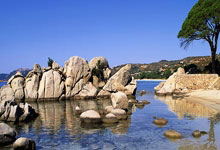 洛杉矶湖人主帅放话：国王杯常规赛必胜明尼苏达森林狼，约基奇冷笑回应的简单介绍